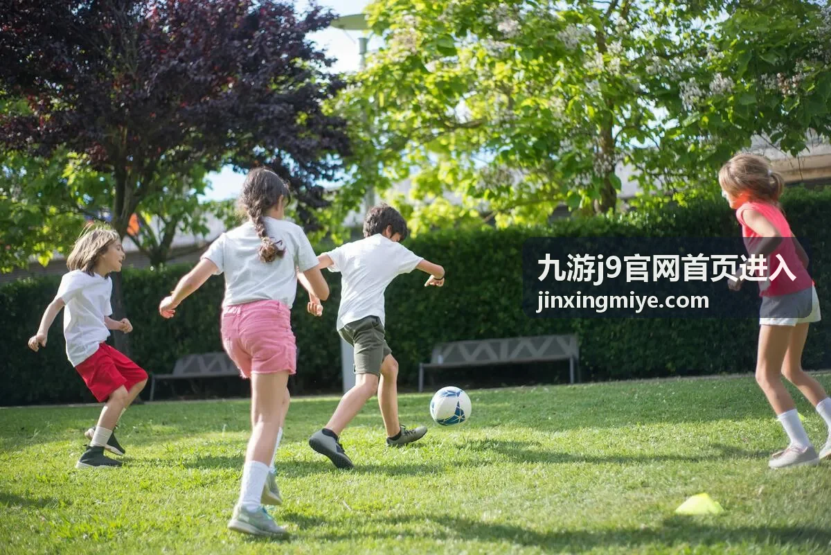 九游j9官网首页进入的下载与安装说明栏目示意
