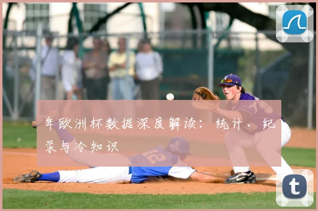 年欧洲杯数据深度解读:统计、纪录与冷知识