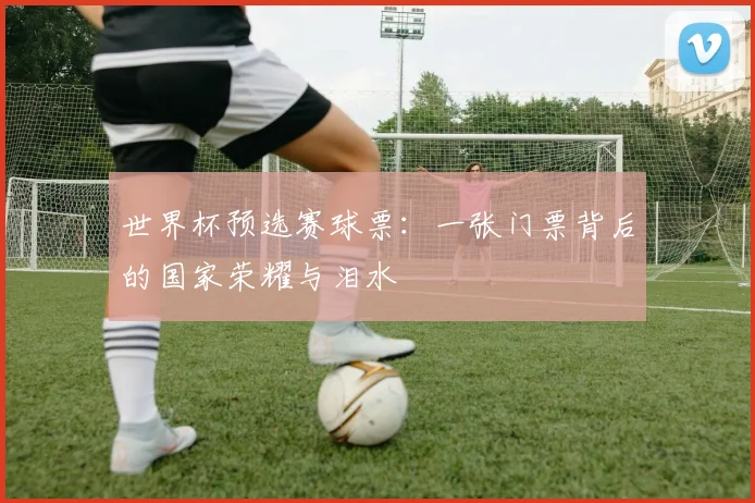 世界杯预选赛球票：一张门票背后的国家荣耀与泪水