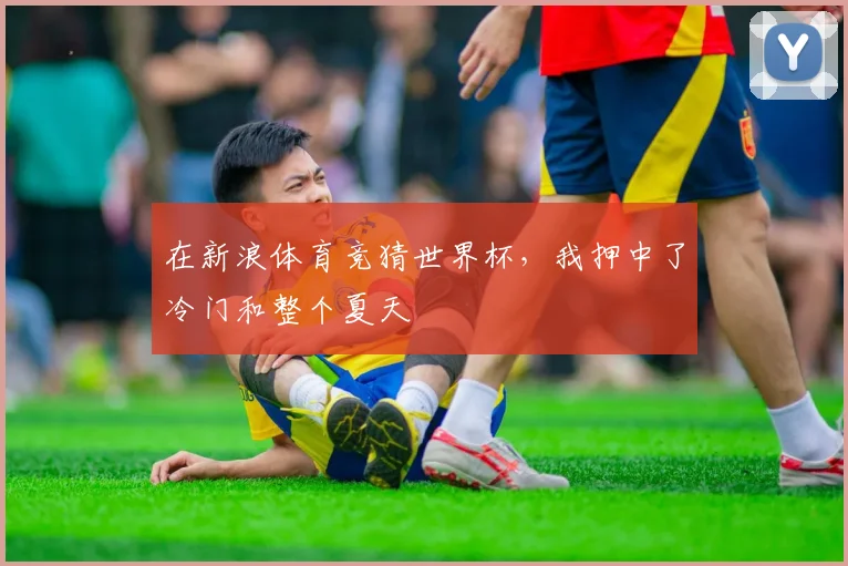 在新浪体育竞猜世界杯，我押中了冷门和整个夏天