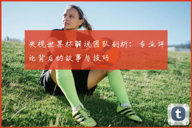 央视世界杯解说团队剖析：专业评论背后的故事与技巧