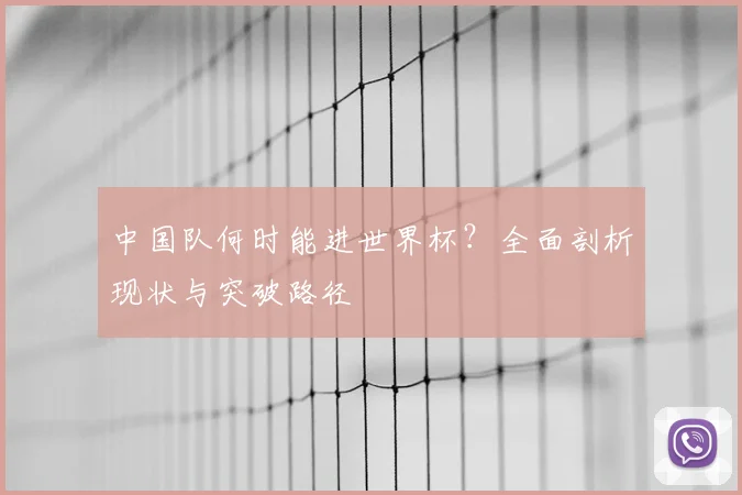 中国队何时能进世界杯？全面剖析现状与突破路径