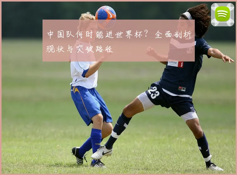 中国队何时能进世界杯？全面剖析现状与突破路径