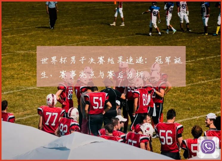 世界杯男子决赛结果速递：冠军诞生，赛事亮点与赛后分析
