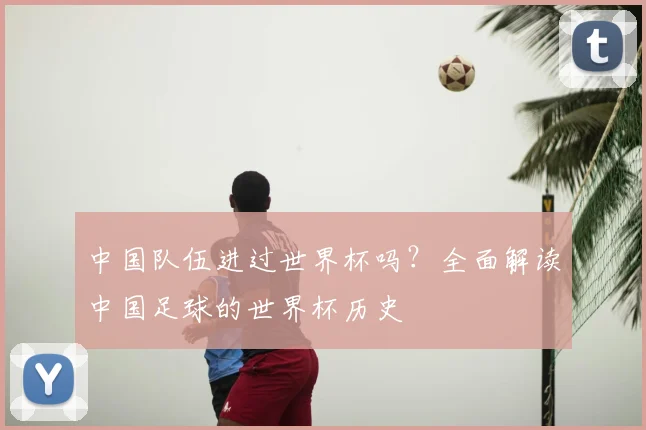中国队伍进过世界杯吗？全面解读中国足球的世界杯历史