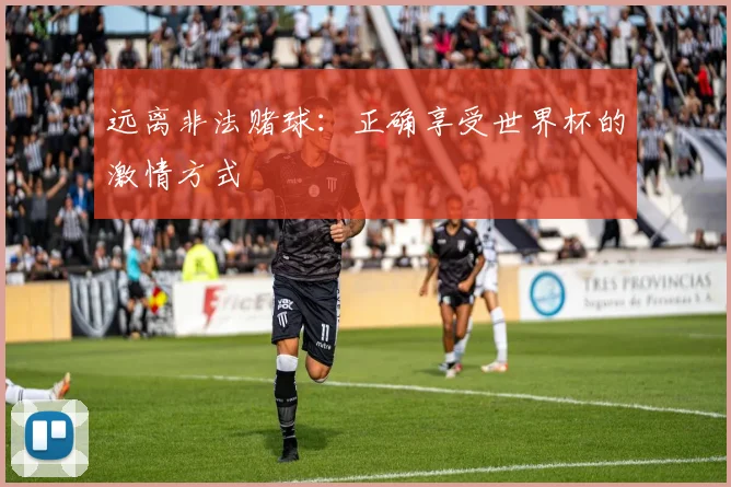 远离非法赌球：正确享受世界杯的激情方式