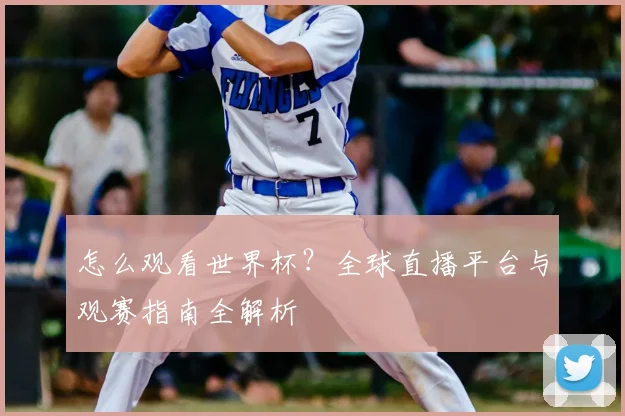 怎么观看世界杯？全球直播平台与观赛指南全解析