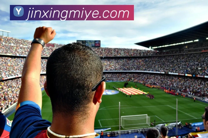 多媒体互动体验